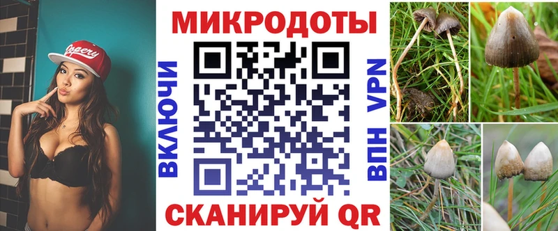 Галлюциногенные грибы MAGIC MUSHROOMS  Химки 